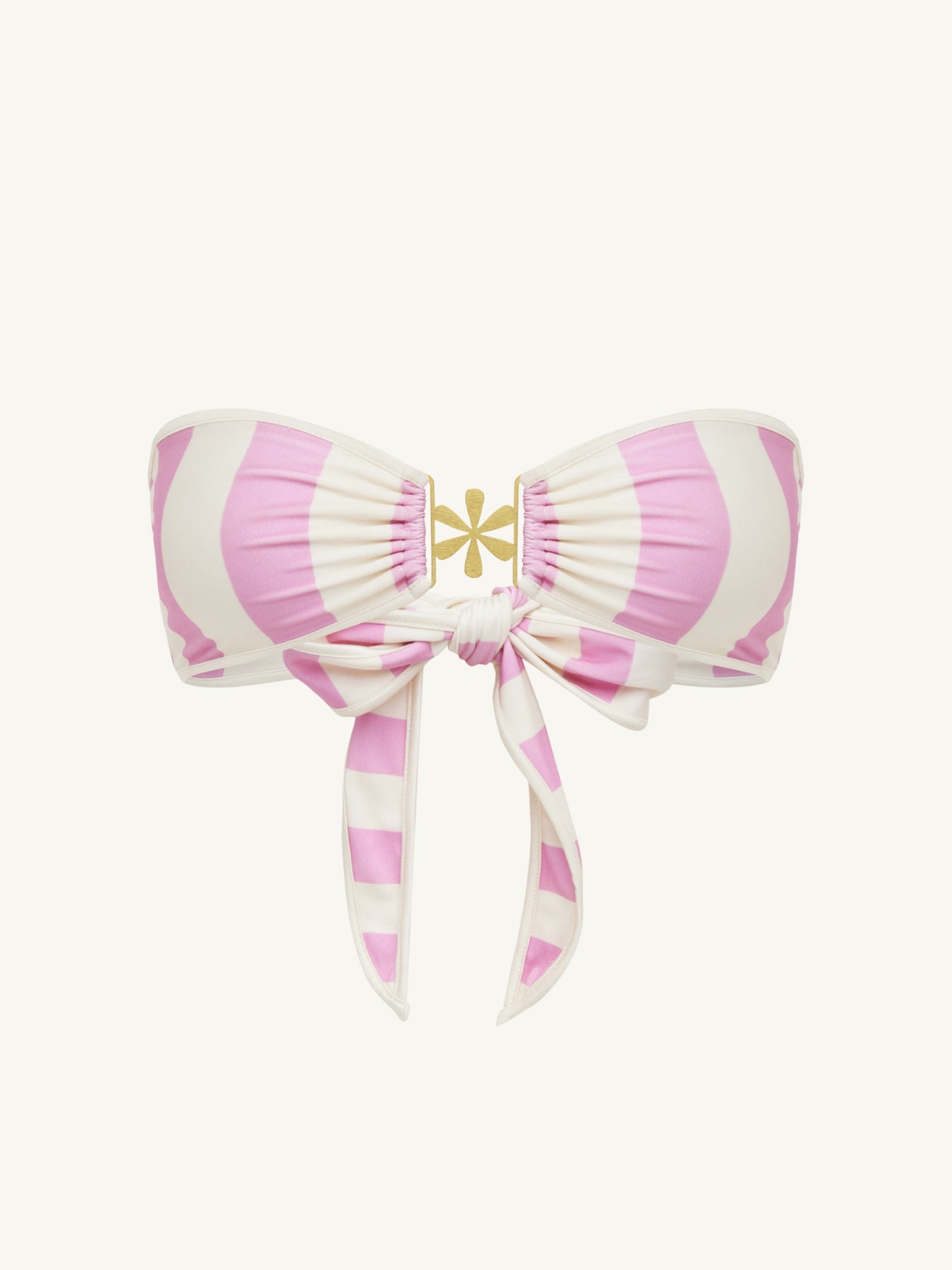 Hydrangea Pink Stripe